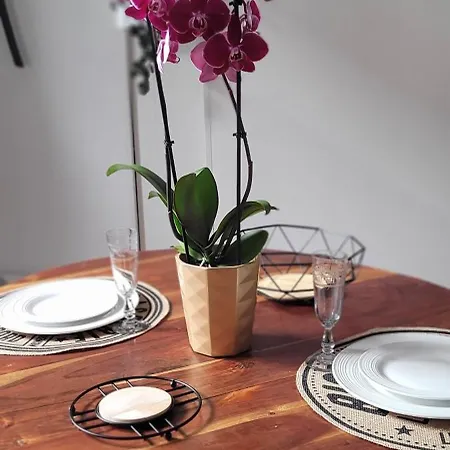 Appart' Des Sacres Hyper Centre Boulingrin Апартаменты *